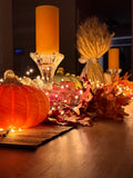 Firefly Holiday Lights - Warehouse Clearance