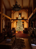 Firefly Holiday Lights - Warehouse Clearance