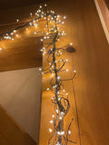 Firefly Lights by Vermont Outfitters Co